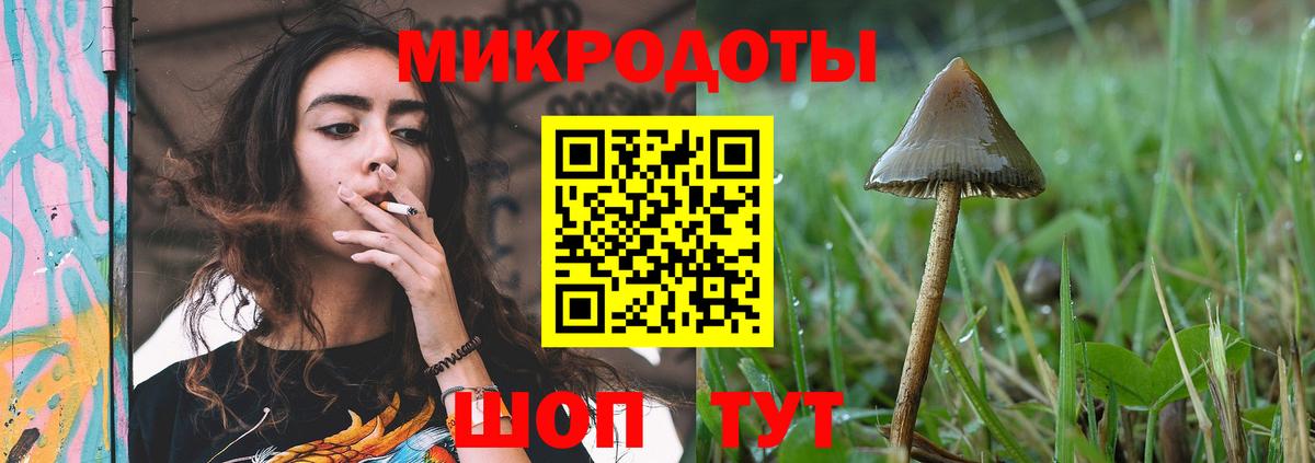 купить наркотики сайты  Псилоцибиновые грибы GOLDEN TEACHER  Вход с VPN  Всеволожск  Галлюциногенные грибы мицелий 