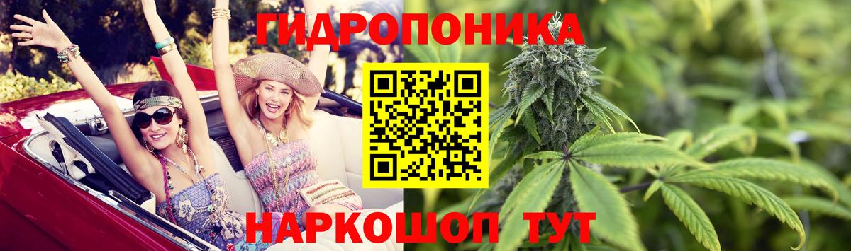 Конопля марихуана Всеволожск